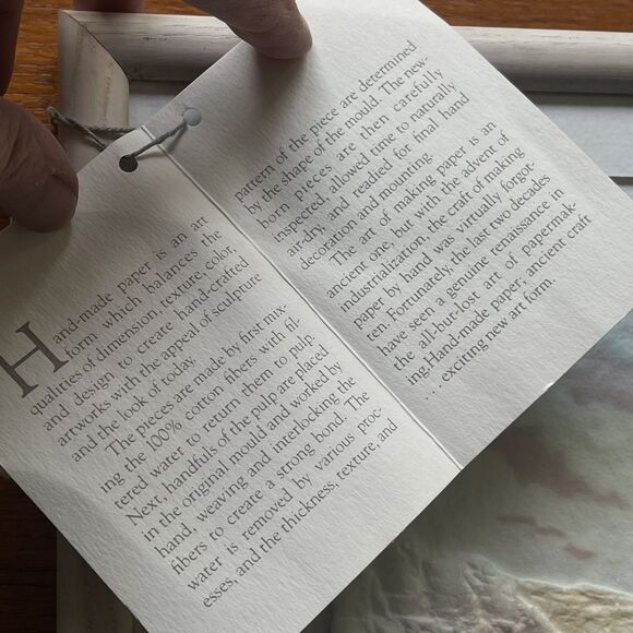 Signed FIGI GRAPHICS PAPER ART-3D Western Cactus - VTG‎ 1990 San Diego Framed - Picture 11 of 14